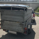 Bilder des Ferkel-Transports
