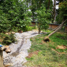 IMG-20200714-WA0016.jpg