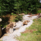 IMG-20200714-WA0017.jpg