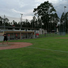IMG_20200715_153101.jpg