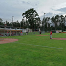 IMG_20200710_184738.jpg
