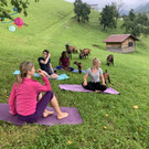 Erstes "Goat-Yoga" in Vorarlberg