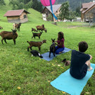 image00023.jpeg