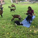image00024.jpeg