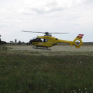 IMG_2052.jpg