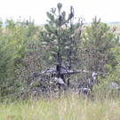 ABD0069-20200720.jpg