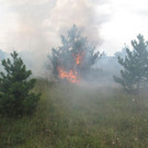 ABD0075-20200720.jpg