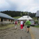 IMG_3437.JPG