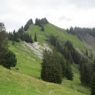 IMG_3479.JPG