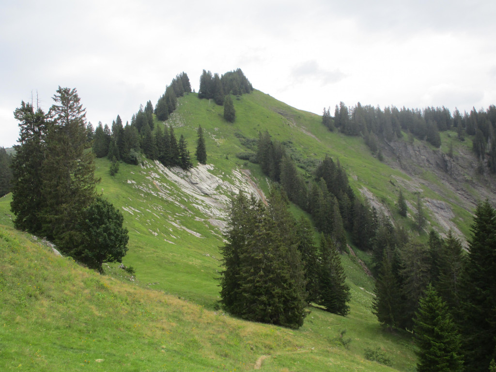 IMG_3479.JPG