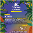 Szene Openair: Die schönsten und schrägsten Bilder der letzten Jahre