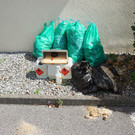 Flurreinigung der Ramschwager Burgnarren Nenzing