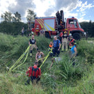 Koblach: Pferd stürzt in Entwässerungsgraben