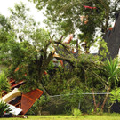 TROPICAL_WEATHER_96985.jpg
