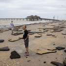 Tropical_Weather_41005.jpg
