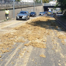 p12907-Foto2.jpg