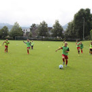 IMG_1949.jpg