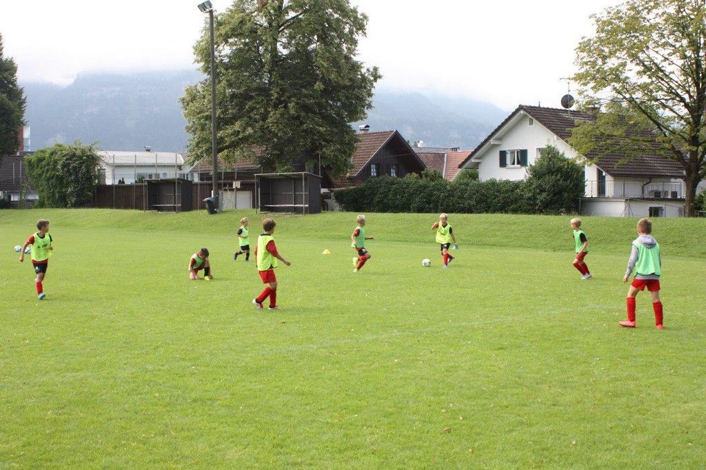 IMG_1955.jpg