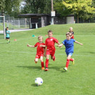 IMG_2066.jpg