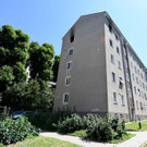ABD0111-20200730.jpg