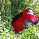 busch1.jpg
