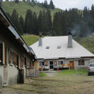 IMG_3440.JPG