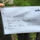 Roter Kater