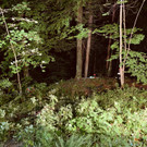 image00006.jpeg