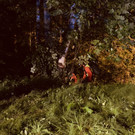 image00002.jpeg