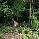 image00022.jpeg