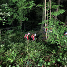 image00011.jpeg