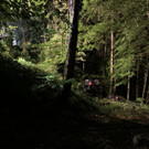 image00014.jpeg