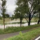 image00003.jpeg