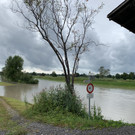 image00012.jpeg