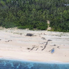 Pacific_SOS_Rescue_76262.jpg