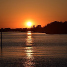 DSC_0396_1.jpg