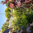 IMG_20200807_111209.jpg