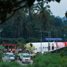 AFP_1WD324.jpg