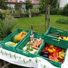 DSC00668.JPG