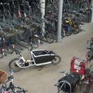 DSC04834.JPG