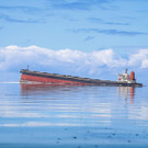 AFP_1WD5C6.jpg
