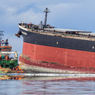 AFP_1WD5C2.jpg