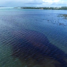 2020-08-09T023453Z_717911264_RC22AI9ZDRL3_RTRMADP_3_MAURITIUS-ENVIRONMENT.JPG