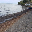 Mauritius_Leaking_Ship_86642.jpg