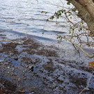 Mauritius_Leaking_Ship_80490.jpg