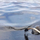 Mauritius_Leaking_Ship_76304.jpg