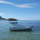 Mauritius_Oil_Spill_77965.jpg
