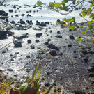 Mauritius_Oil_Spill_29055.jpg