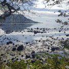 Mauritius_Oil_Spill_41686.jpg
