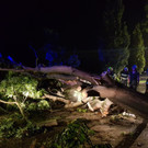 20200811_214832 _Gro___.jpg